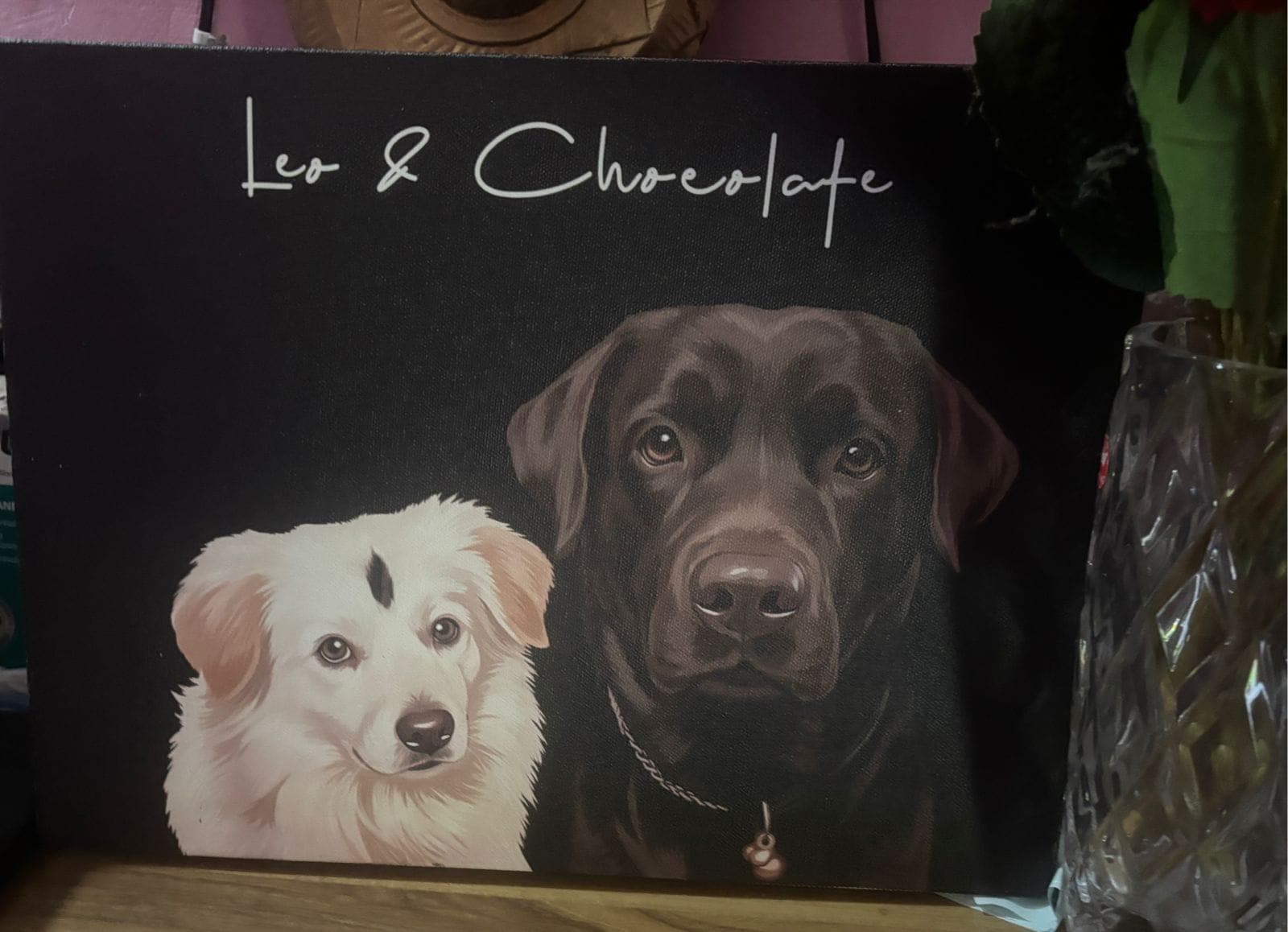 Vihaan's custom pet portrait