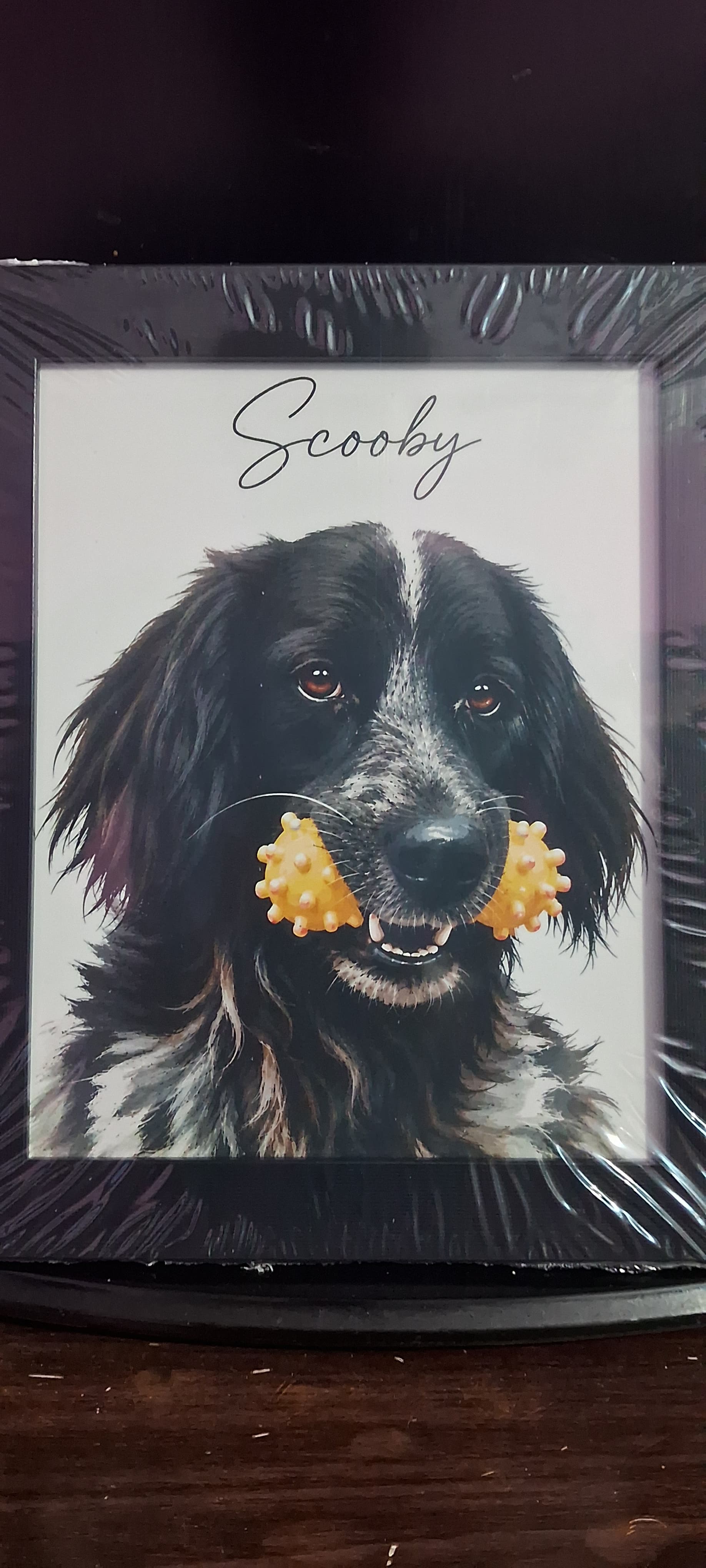 Ishaan's custom pet portrait