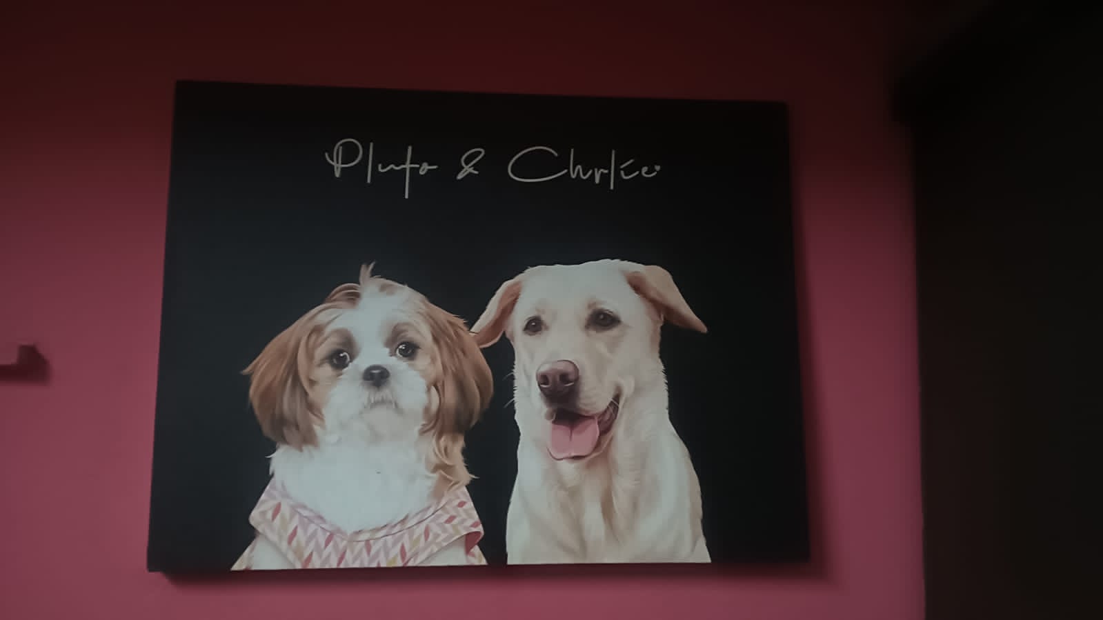 Reyansh's custom pet portrait